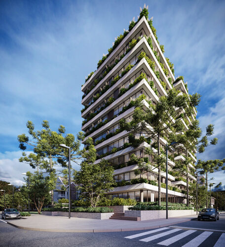 Studio pivoine image